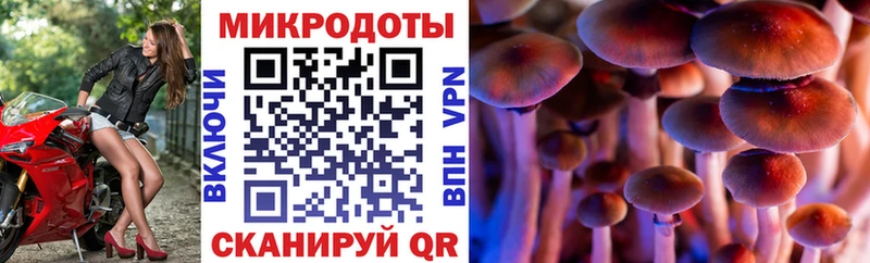 Псилоцибиновые грибы Magic Shrooms  даркнет сайт  Галич 